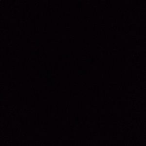 Meet your Posher, Antwan